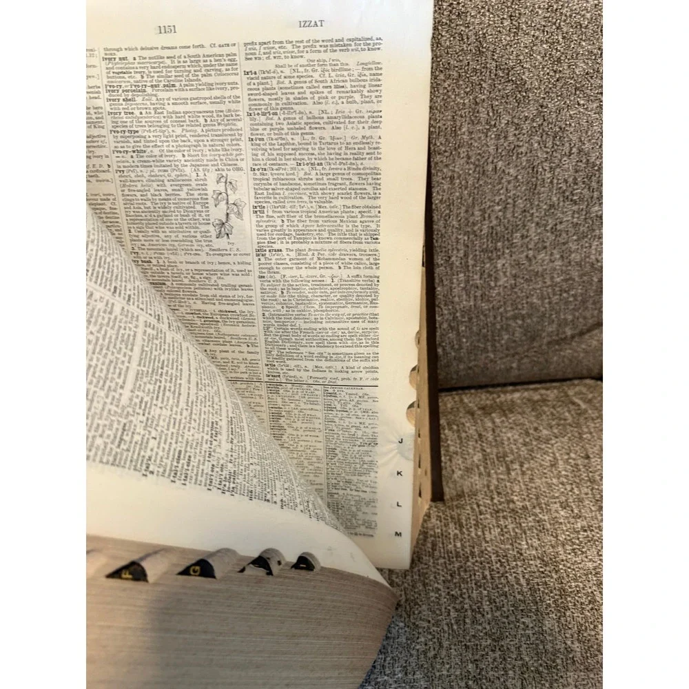 1923‎ Webster's New International Dictionary Reference History India Paper
